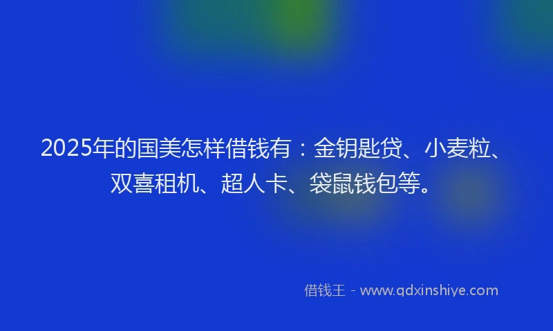 2025年的国美怎样借钱有：金钥匙贷、小麦粒、双喜租机、超人卡、袋鼠钱包等。