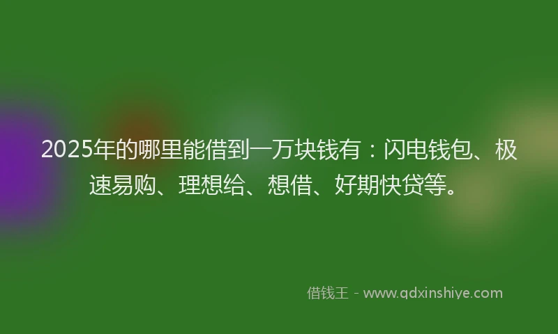 2025年的哪里能借到一万块钱有：闪电钱包、极速易购、理想给、想借、好期快贷等。