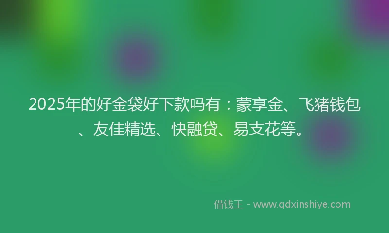 2025年的好金袋好下款吗有：蒙享金、飞猪钱包、友佳精选、快融贷、易支花等。