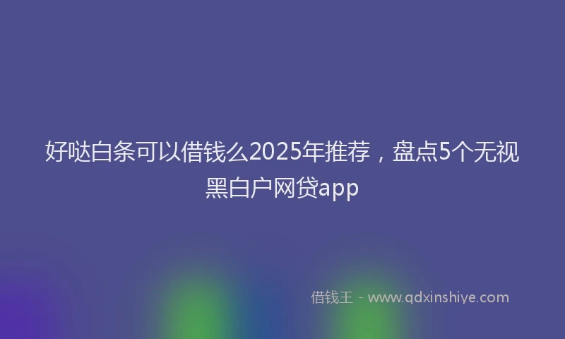 好哒白条可以借钱么2025年推荐，盘点5个无视黑白户网贷app