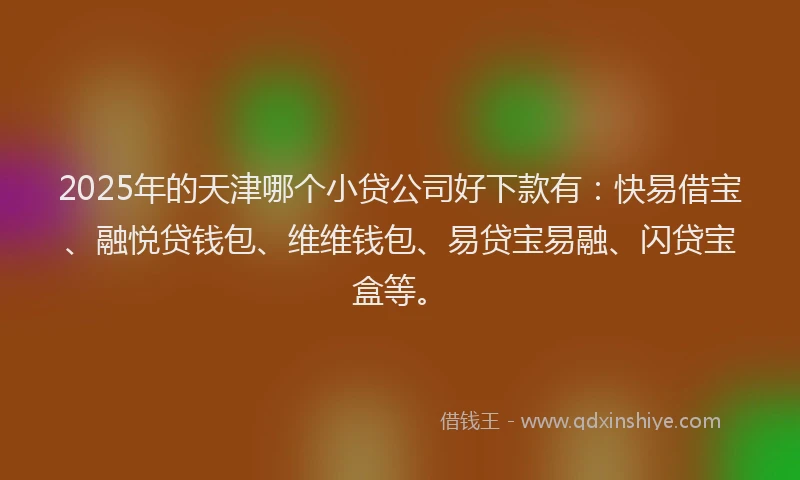 2025年的天津哪个小贷公司好下款有：快易借宝、融悦贷钱包、维维钱包、易贷宝易融、闪贷宝盒等。