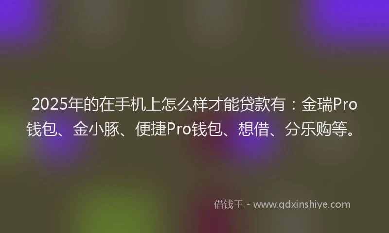 2025年的在手机上怎么样才能贷款有：金瑞Pro钱包、金小豚、便捷Pro钱包、想借、分乐购等。