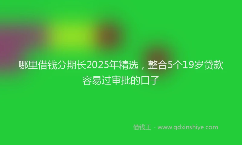 哪里借钱分期长2025年精选，整合5个19岁贷款容易过审批的口子