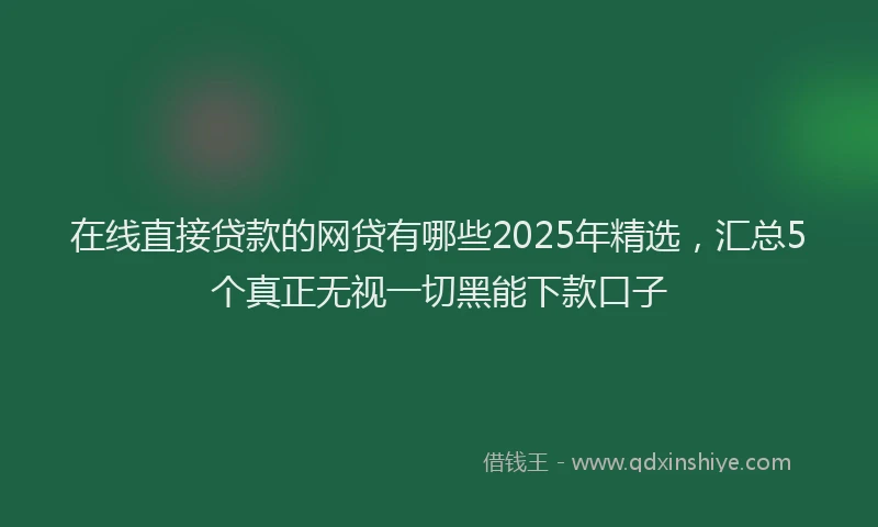 在线直接贷款的网贷有哪些2025年精选，汇总5个真正无视一切黑能下款口子