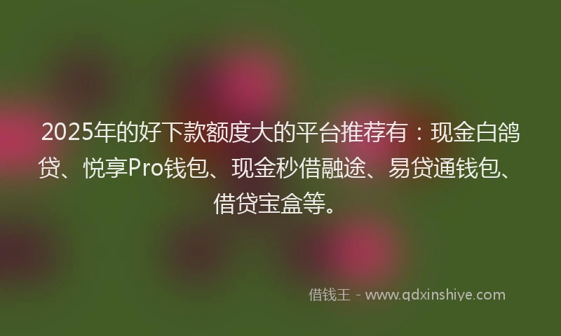 2025年的好下款额度大的平台推荐有：现金白鸽贷、悦享Pro钱包、现金秒借融途、易贷通钱包、借贷宝盒等。