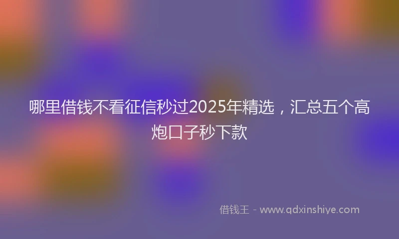 哪里借钱不看征信秒过2025年精选，汇总五个高炮口子秒下款