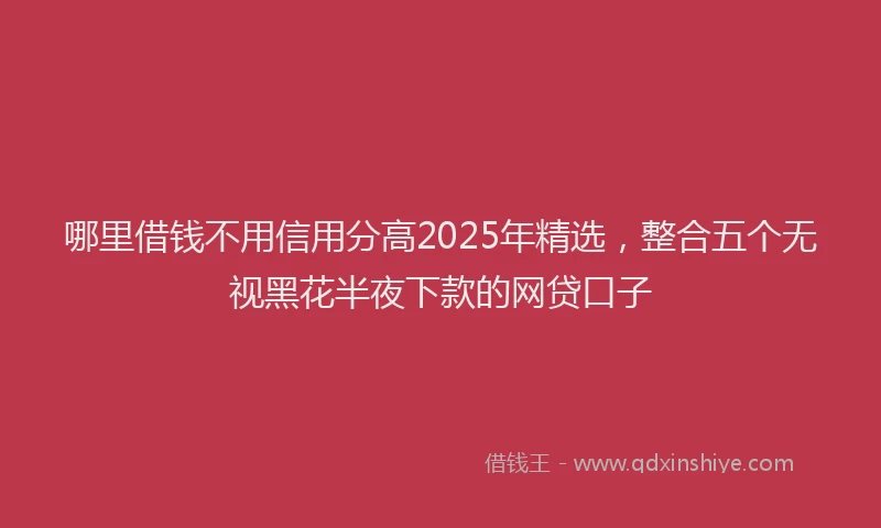 哪里借钱不用信用分高2025年精选，整合五个无视黑花半夜下款的网贷口子