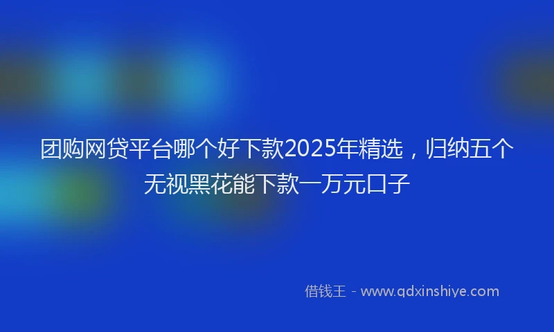 团购网贷平台哪个好下款2025年精选，归纳五个无视黑花能下款一万元口子