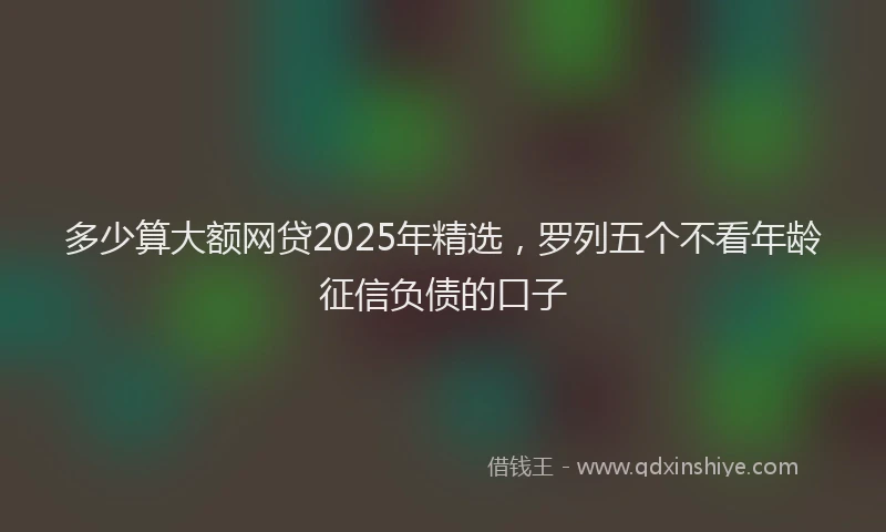 多少算大额网贷2025年精选，罗列五个不看年龄征信负债的口子