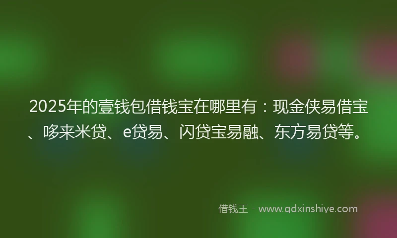 2025年的壹钱包借钱宝在哪里有：现金侠易借宝、哆来米贷、e贷易、闪贷宝易融、东方易贷等。