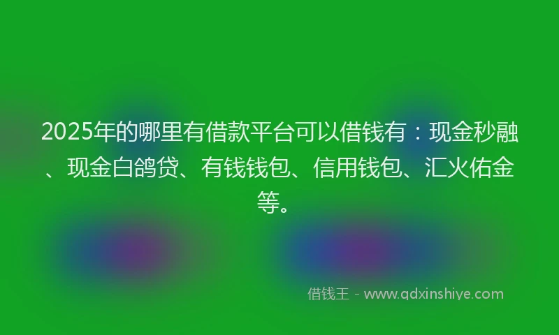2025年的哪里有借款平台可以借钱有：现金秒融、现金白鸽贷、有钱钱包、信用钱包、汇火佑金等。