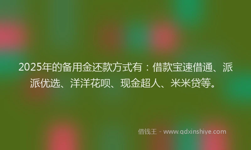 2025年的备用金还款方式有：借款宝速借通、派派优选、洋洋花呗、现金超人、米米贷等。