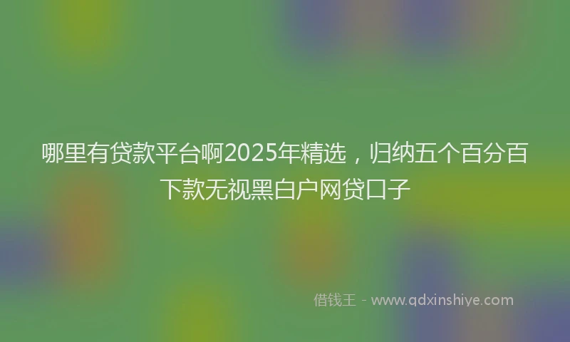哪里有贷款平台啊2025年精选，归纳五个百分百下款无视黑白户网贷口子