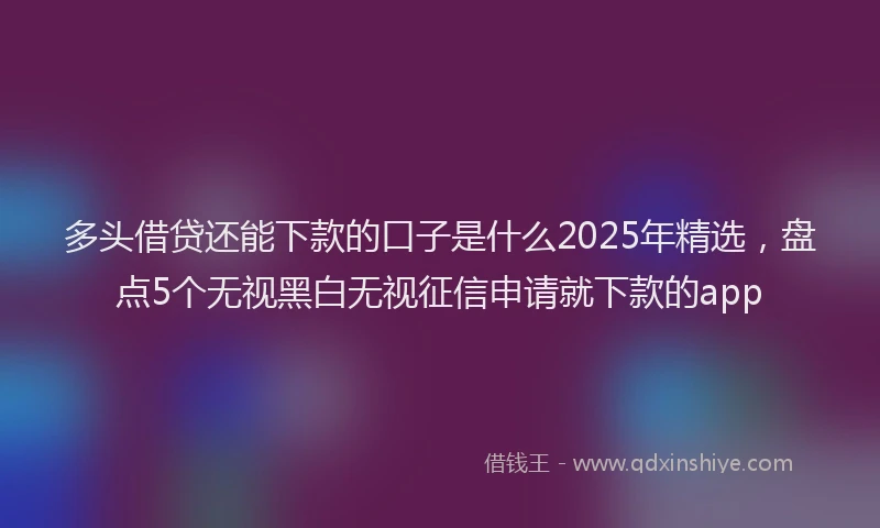 多头借贷还能下款的口子是什么2025年精选，盘点5个无视黑白无视征信申请就下款的app