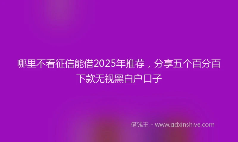 哪里不看征信能借2025年推荐，分享五个百分百下款无视黑白户口子