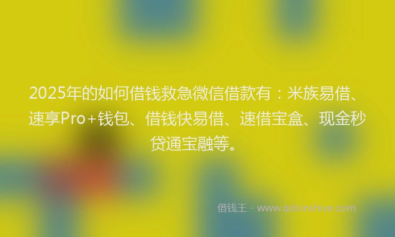 2025年的如何借钱救急微信借款有：米族易借、速享Pro+钱包、借钱快易借、速借宝盒、现金秒贷通宝融等。