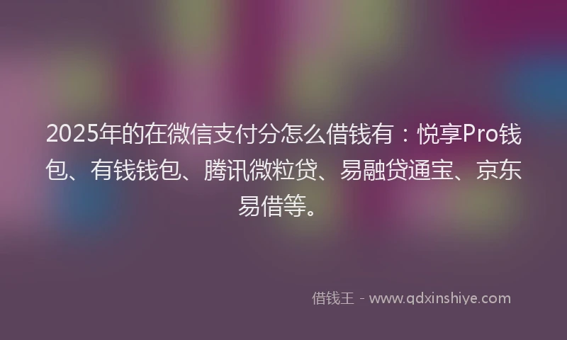 2025年的在微信支付分怎么借钱有：悦享Pro钱包、有钱钱包、腾讯微粒贷、易融贷通宝、京东易借等。