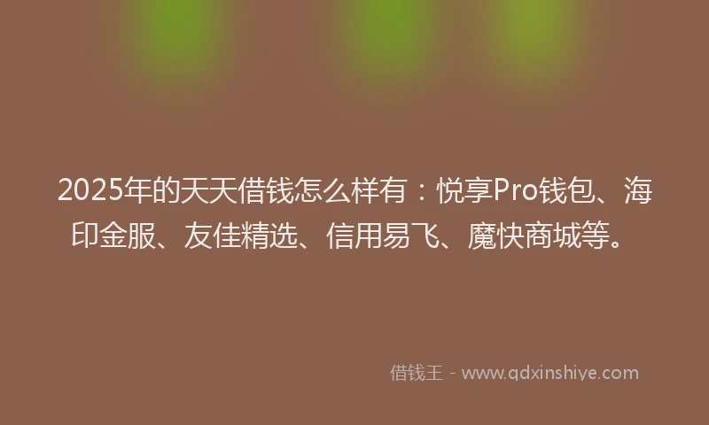 2025年的天天借钱怎么样有：悦享Pro钱包、海印金服、友佳精选、信用易飞、魔快商城等。