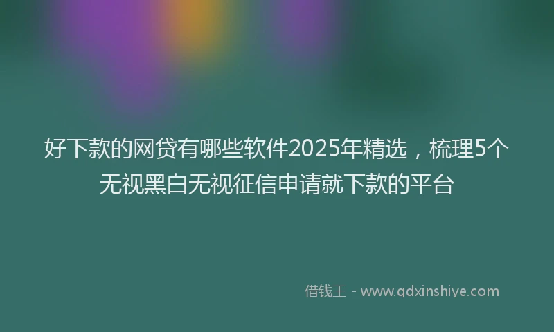 好下款的网贷有哪些软件2025年精选，梳理5个无视黑白无视征信申请就下款的平台