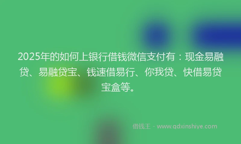 2025年的如何上银行借钱微信支付有：现金易融贷、易融贷宝、钱速借易行、你我贷、快借易贷宝盒等。