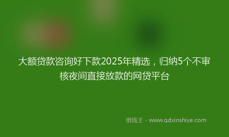 大额贷款咨询好下款2025年精选，归纳5个不审核夜间直接放款的网贷平台