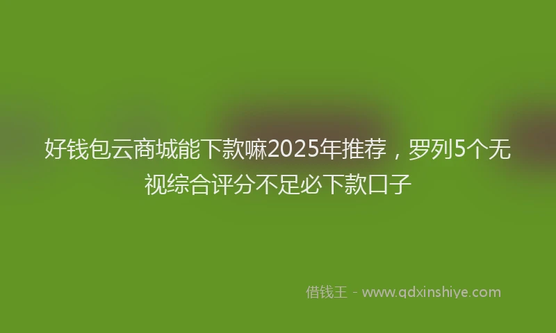 好钱包云商城能下款嘛2025年推荐，罗列5个无视综合评分不足必下款口子