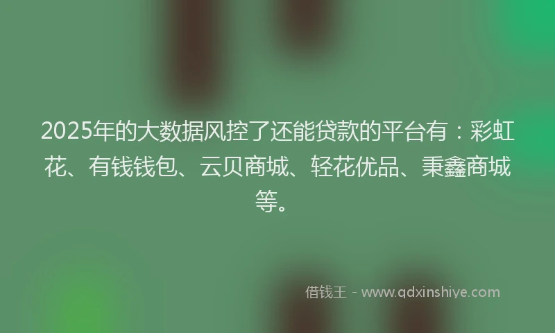 2025年的大数据风控了还能贷款的平台有：彩虹花、有钱钱包、云贝商城、轻花优品、秉鑫商城等。