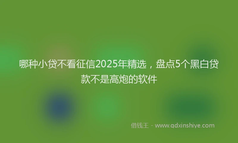 哪种小贷不看征信2025年精选，盘点5个黑白贷款不是高炮的软件
