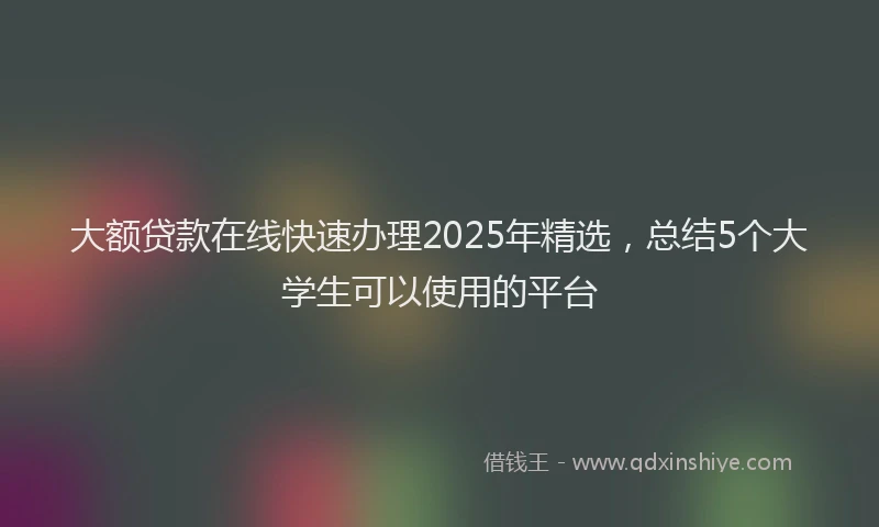 大额贷款在线快速办理2025年精选，总结5个大学生可以使用的平台