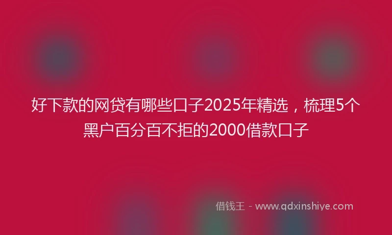 好下款的网贷有哪些口子2025年精选，梳理5个黑户百分百不拒的2000借款口子