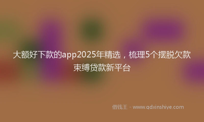 大额好下款的app2025年精选，梳理5个摆脱欠款束缚贷款新平台