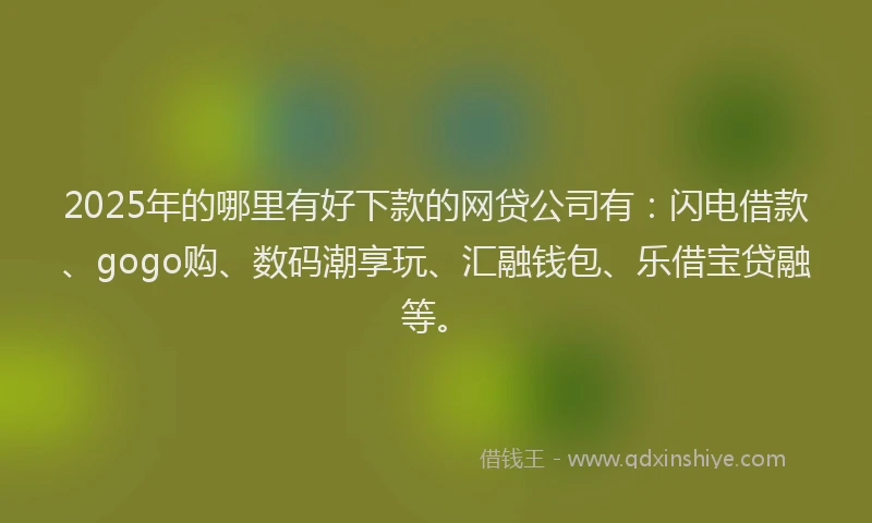 2025年的哪里有好下款的网贷公司有：闪电借款、gogo购、数码潮享玩、汇融钱包、乐借宝贷融等。