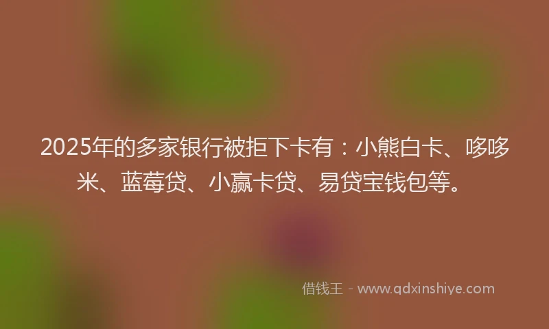 2025年的多家银行被拒下卡有：小熊白卡、哆哆米、蓝莓贷、小赢卡贷、易贷宝钱包等。