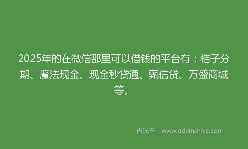 2025年的在微信那里可以借钱的平台有：桔子分期、魔法现金、现金秒贷通、甄信贷、万盛商城等。