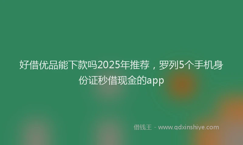 好借优品能下款吗2025年推荐，罗列5个手机身份证秒借现金的app