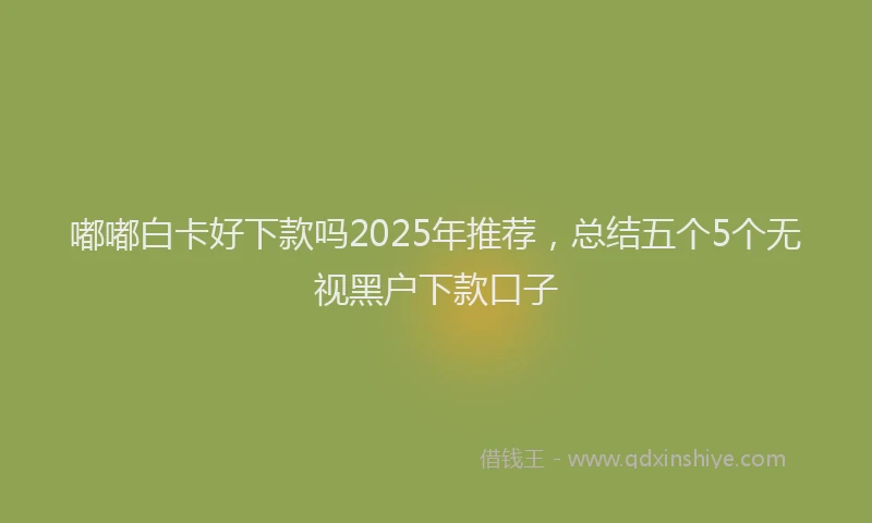 嘟嘟白卡好下款吗2025年推荐，总结五个5个无视黑户下款口子
