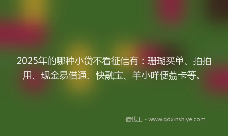 2025年的哪种小贷不看征信有：珊瑚买单、拍拍用、现金易借通、快融宝、羊小咩便荔卡等。