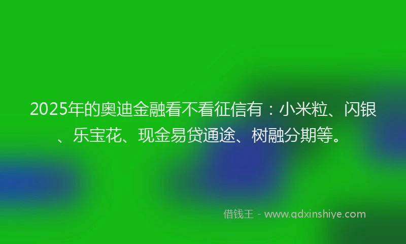 2025年的奥迪金融看不看征信有：小米粒、闪银、乐宝花、现金易贷通途、树融分期等。