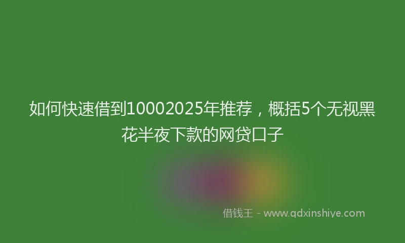 如何快速借到10002025年推荐，概括5个无视黑花半夜下款的网贷口子