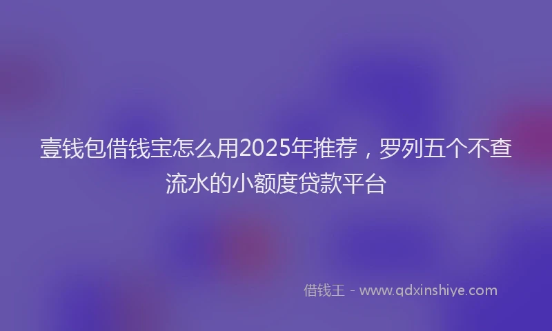 壹钱包借钱宝怎么用2025年推荐，罗列五个不查流水的小额度贷款平台