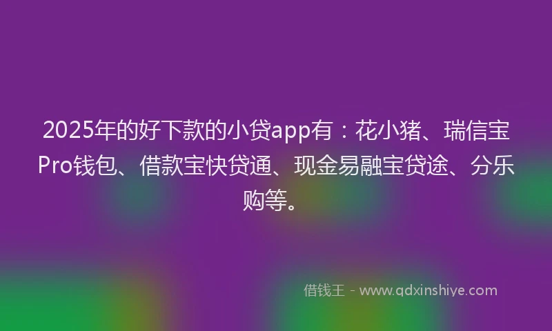 2025年的好下款的小贷app有：花小猪、瑞信宝Pro钱包、借款宝快贷通、现金易融宝贷途、分乐购等。