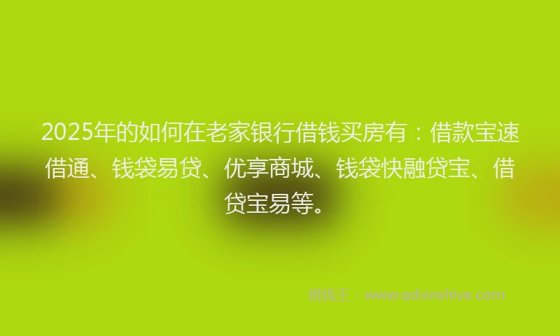 2025年的如何在老家银行借钱买房有：借款宝速借通、钱袋易贷、优享商城、钱袋快融贷宝、借贷宝易等。