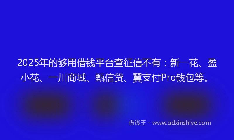 2025年的够用借钱平台查征信不有：新一花、盈小花、一川商城、甄信贷、翼支付Pro钱包等。