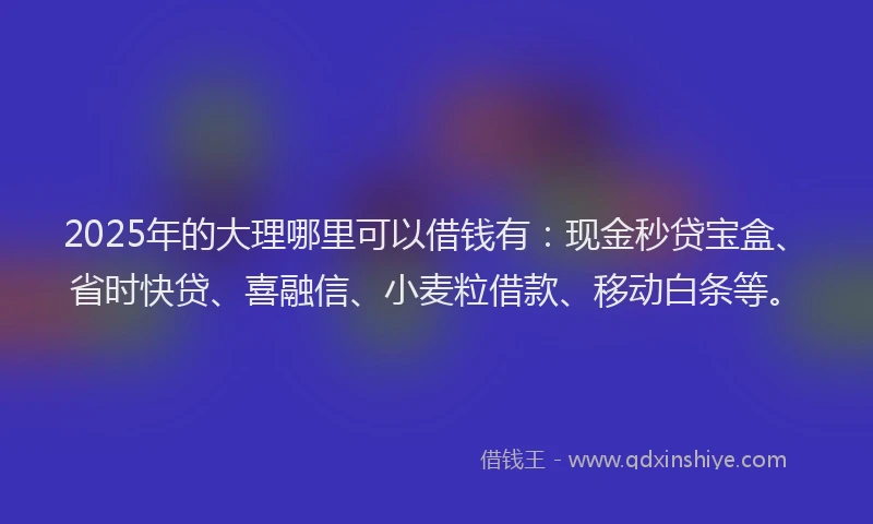 2025年的大理哪里可以借钱有：现金秒贷宝盒、省时快贷、喜融信、小麦粒借款、移动白条等。