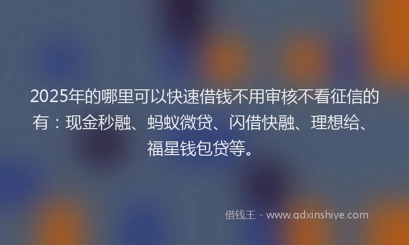 2025年的哪里可以快速借钱不用审核不看征信的有：现金秒融、蚂蚁微贷、闪借快融、理想给、福星钱包贷等。