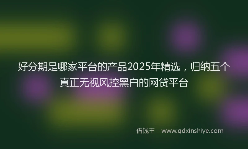 好分期是哪家平台的产品2025年精选，归纳五个真正无视风控黑白的网贷平台