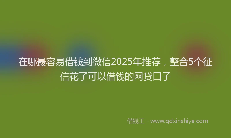 在哪最容易借钱到微信2025年推荐，整合5个征信花了可以借钱的网贷口子