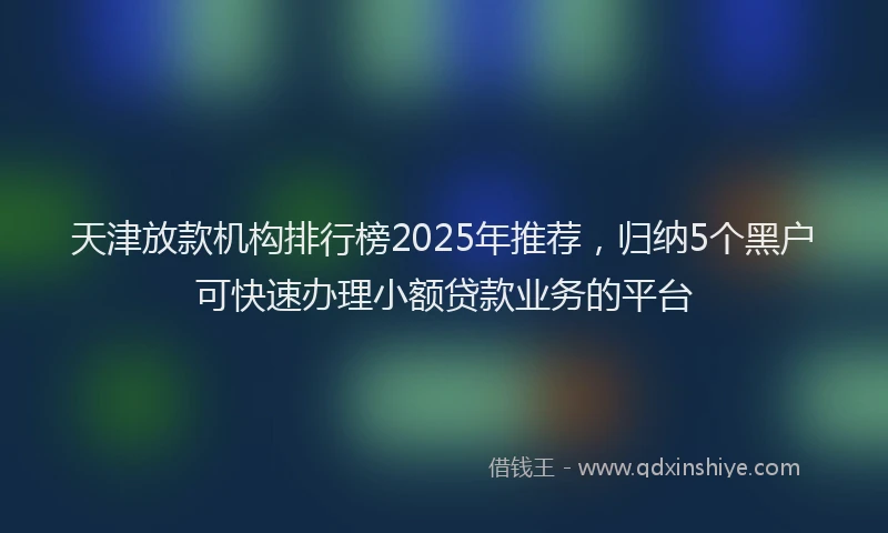 天津放款机构排行榜2025年推荐，归纳5个黑户可快速办理小额贷款业务的平台
