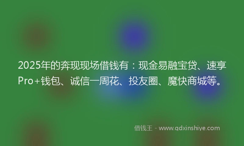 2025年的奔现现场借钱有：现金易融宝贷、速享Pro+钱包、诚信一周花、投友圈、魔快商城等。