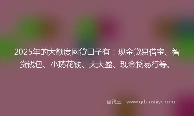 2025年的大额度网贷口子有：现金贷易借宝、智贷钱包、小鹅花钱、天天盈、现金贷易行等。